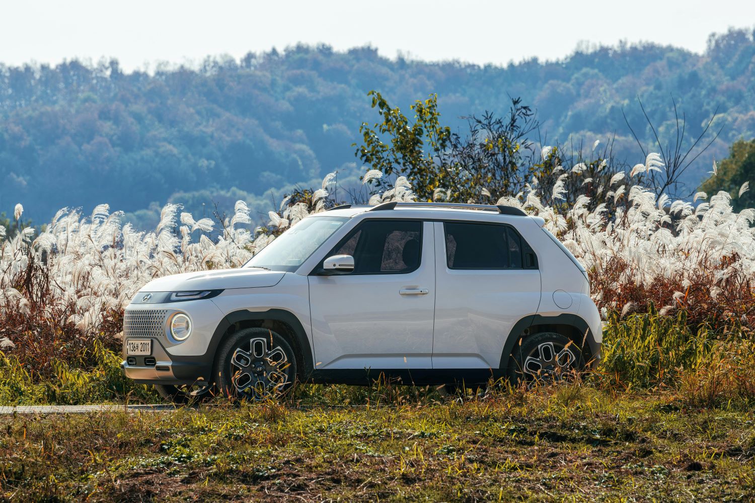 	Poznaj najpopularniejsze modele Fiat – przewodnik CarOutlet